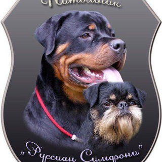 Telegram profile photo for Питомник Руссиан Симфони