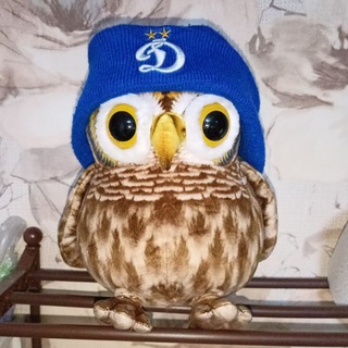 Telegram profile photo for Сочтовая Пова