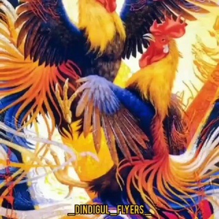Telegram profile photo for Original Iranian and foreign Larry rooster