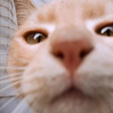 Telegram profile photo for reels для путешественников