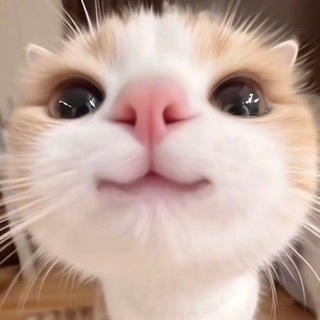 Telegram profile photo for Слив Казашек +18💋