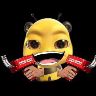 Telegram profile photo for beechibbacto portal