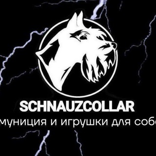 Telegram profile photo for 𝑆𝐶𝐻𝑁𝐴𝑈𝑍𝐶𝑂𝐿𝐿𝐴𝑅||Ᏼᴏᴩᴏнᴇж🐩