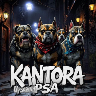 Telegram profile photo for KANTORA¡SHET