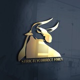 Telegram profile photo for StrictlyCorrectFX (BTMM Modifications)