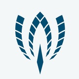 Telegram profile photo for Благодійний Фонд імені Святого Володимира