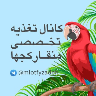 Telegram profile photo for کانال تغذیه تخصصی منقارکجها