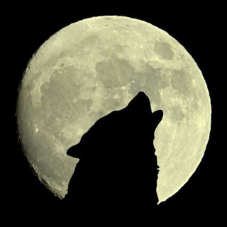 Telegram profile photo for Zion Royal Announcements