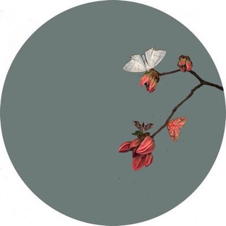 Telegram profile photo for للجَنة.