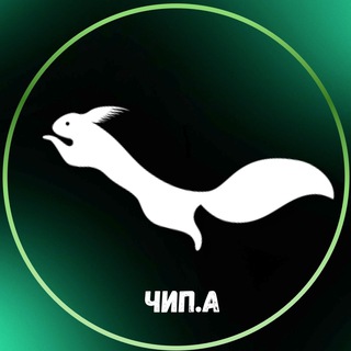 Telegram profile photo for В поисках Гайки
