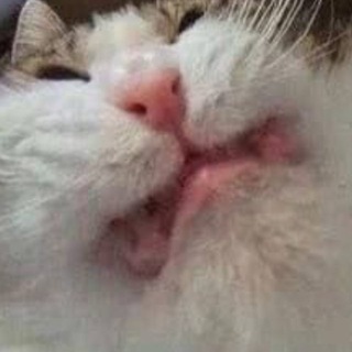 Telegram profile photo for Верхние Мемищи
