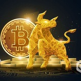 Telegram profile photo for Crypto Bull