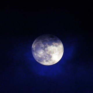 Telegram profile photo for Crypto moon🌑