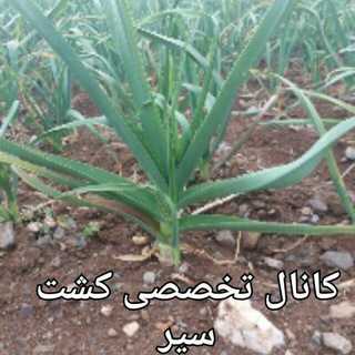 Telegram profile photo for کانال تخصصی کشت سیر
