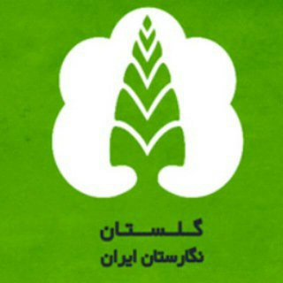 Telegram profile photo for گلستان تیوی