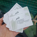 Telegram profile photo for مرکز تخصصی زی مانا (باشگاه سبز سابق)