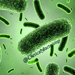 Telegram profile photo for Clinical_Bacteriology