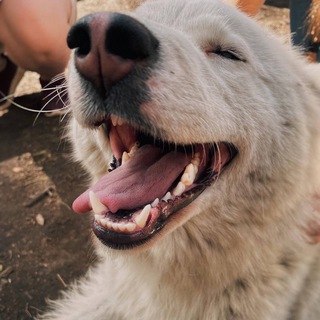 Telegram profile photo for живи по мечте
