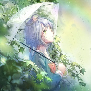 Telegram profile photo for Rain发布
