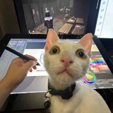 Telegram profile photo for батарейка +