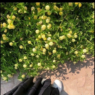 Telegram profile photo for ݺ، نَسيـر لِـ أثـرٍ يَبـقَـى .