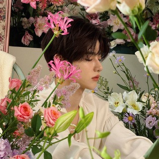 Telegram profile photo for sᴄᴇɴᴛ ᴏғ ʟɪʟᴀᴄ ♡