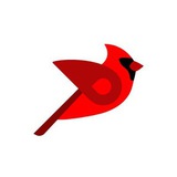 Telegram profile photo for DexRocket Bird