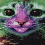 Telegram profile photo for Риппа сошласума