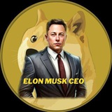 Telegram profile photo for Elon Musk CEO - Portal