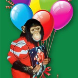 Telegram profile photo for Bubbles Jackson $BDAY