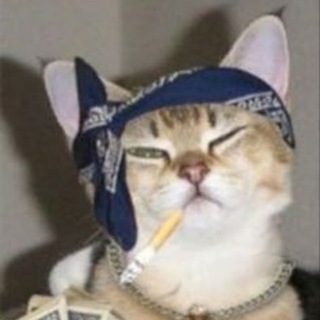 Telegram profile photo for Два D