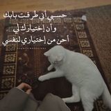Telegram profile photo for ڪــل مــا هــو جــمــيــل ֶָ֢⸰.ᥫ᭡. ֶָ֢