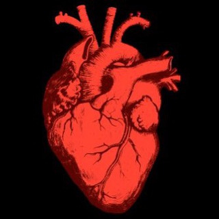 Telegram profile photo for Боль режиссёрских сердец
