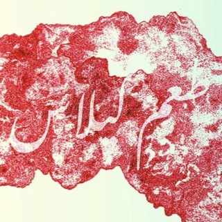 Telegram profile photo for طعم گیلاس