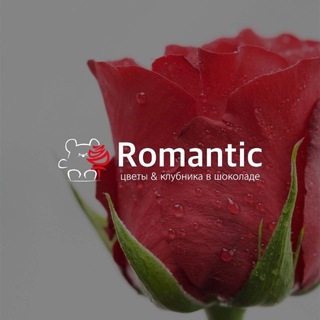 Telegram profile photo for РОМАНТИК | ОПТ | ЦВЕТЫ