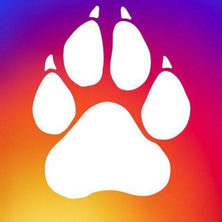 Telegram profile photo for Cantina Peluda