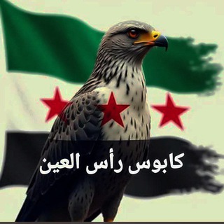 Telegram profile photo for كابوس رأس العين