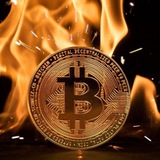 Telegram profile photo for News Crypto