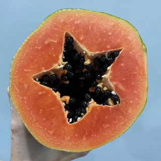 Telegram profile photo for Син чао, Вьетнам!