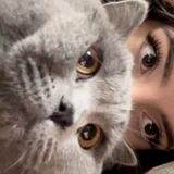 Telegram profile photo for Afterthought