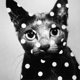 Telegram profile photo for cost tea!
