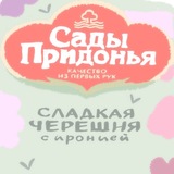 Telegram profile photo for искусство энди этвуд!! :3