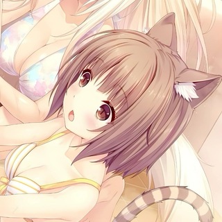 Telegram profile photo for ݊ꪀׅ꯱ܻ⨍ᨰׁׅ ݊ꪀꫀׁׅܻ݊ƙׁׅᨵׁׅׅ 🐾 переходник