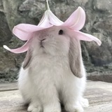 Telegram profile photo for ₊˚. ꒰ა 魅力