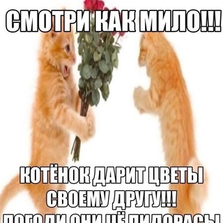 Telegram profile photo for Заметки Миллионера 💸