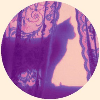 Telegram profile photo for ΦΌπ² π. π παfπΉΰ§Φ΄ βΧ ΦΌπ β :