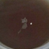 Telegram profile photo for дудка и трубник.