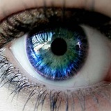 Telegram profile photo for In sight