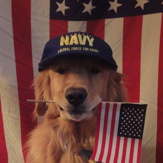 Telegram profile photo for CLAWMATES. 🔝