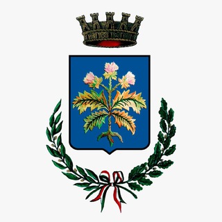 Telegram profile photo for Città di Modugno